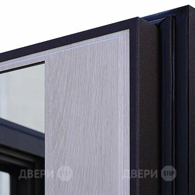 Входная металлическая Дверь Шелтер (SHELTER) Филадельфия Зеркало в Рузе